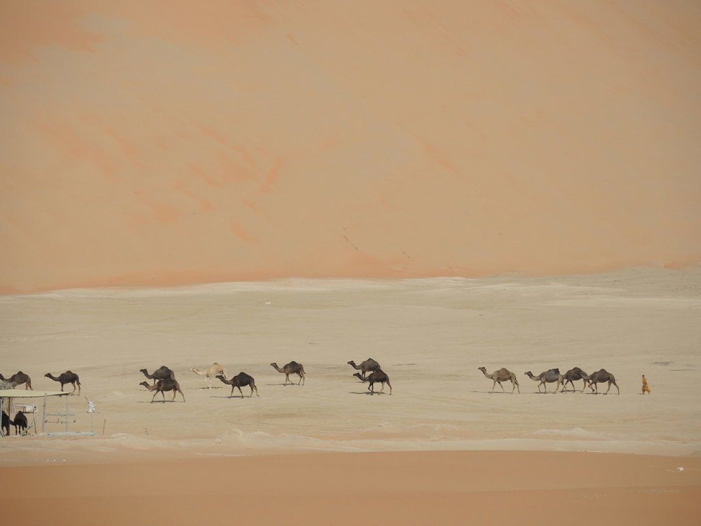 The Empty Quarter (Rub' Al Khali) 1