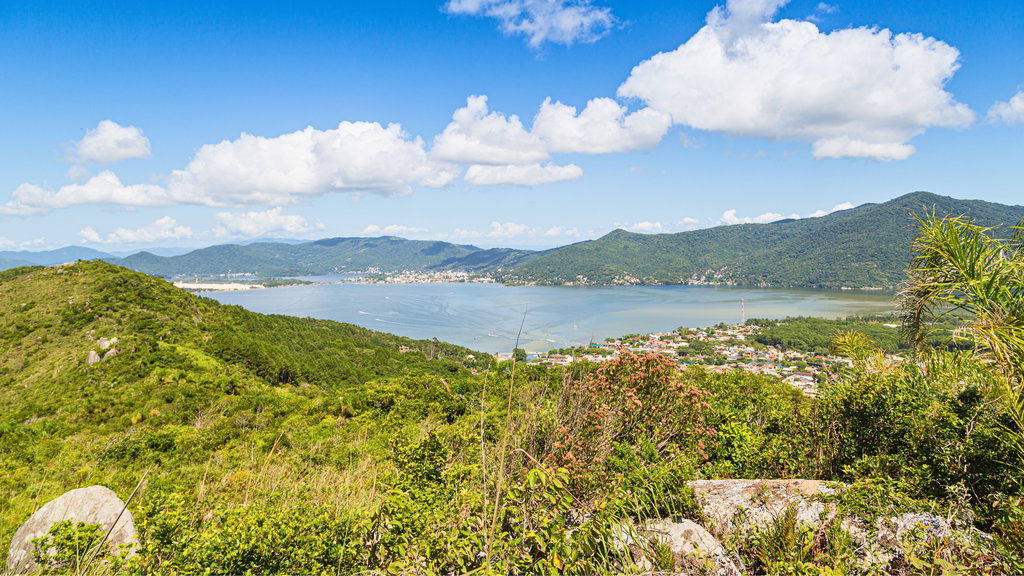 Florianópolis 1